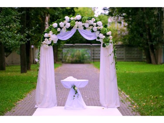 Фотографии: Организация выездной регистрации.