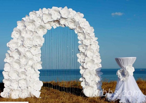 Фотографии: Организация выездной регистрации.