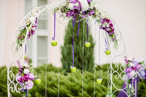 Фотографии: Организация выездной регистрации.