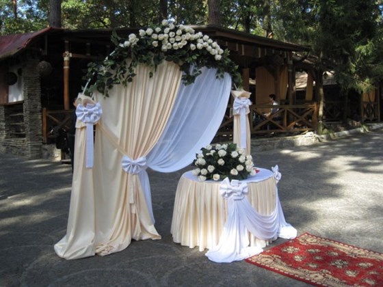 Фотографии: Организация выездной регистрации.