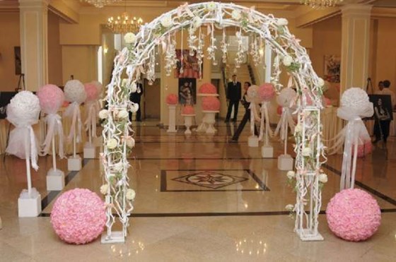 Фотографии: Организация выездной регистрации.