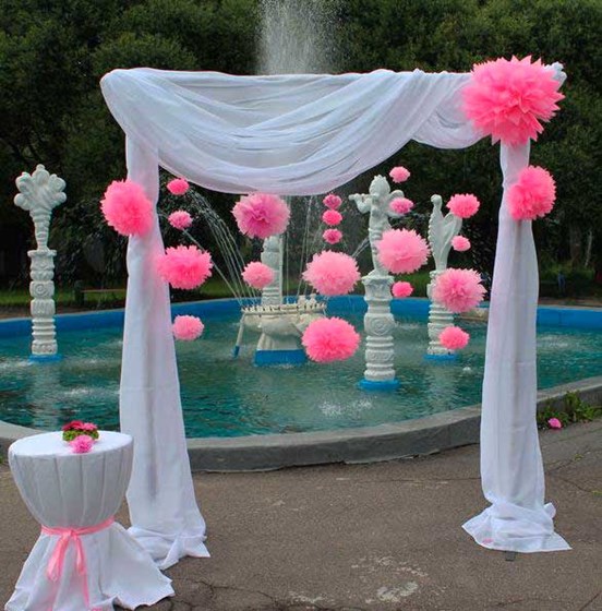 Фотографии: Организация выездной регистрации.