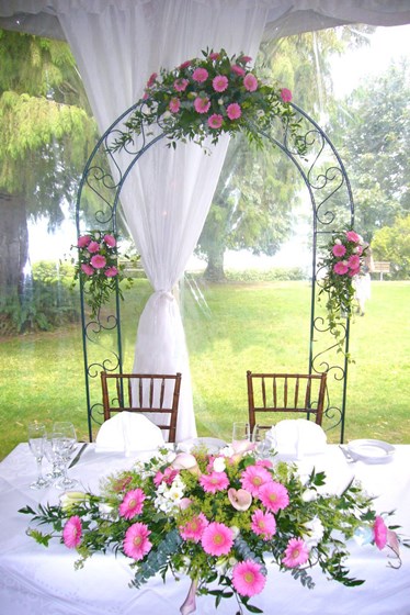 Фотографии: Организация выездной регистрации.