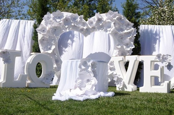 Фотографии: Организация выездной регистрации.