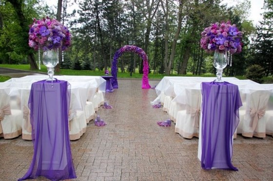 Фотографии: Организация выездной регистрации.