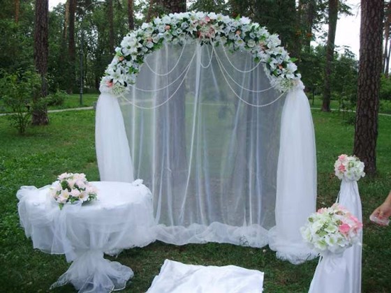 Фотографии: Организация выездной регистрации.